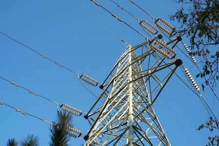 電線電纜制造|湖北武漢電線電纜制造公司轉讓項目 51%股權轉讓31BJ-1119